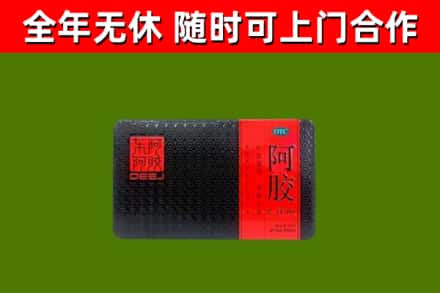 金门回收阿胶