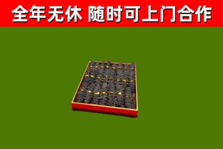 金门回收海参